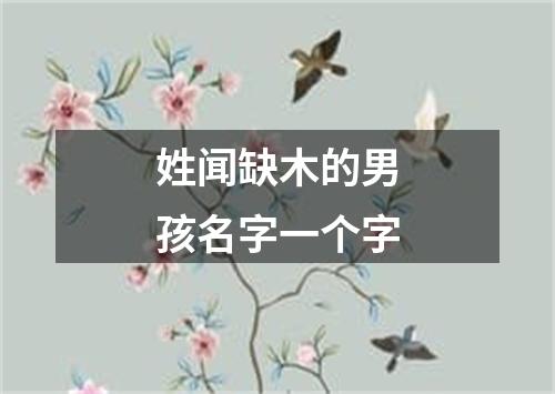 姓闻缺木的男孩名字一个字