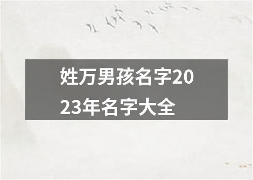 姓万男孩名字2023年名字大全