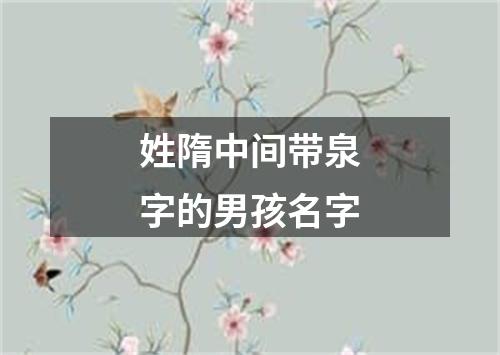 姓隋中间带泉字的男孩名字