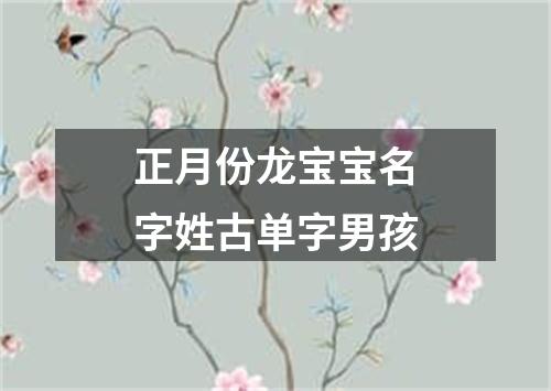 正月份龙宝宝名字姓古单字男孩