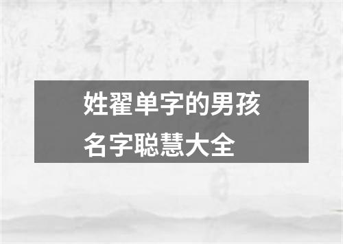 姓翟单字的男孩名字聪慧大全