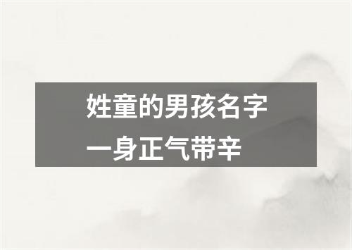 姓童的男孩名字一身正气带辛