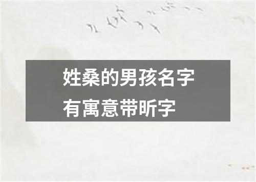 姓桑的男孩名字有寓意带昕字