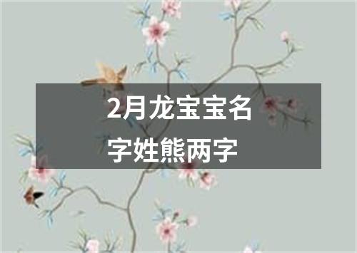 2月龙宝宝名字姓熊两字