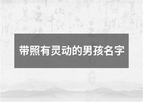 带照有灵动的男孩名字