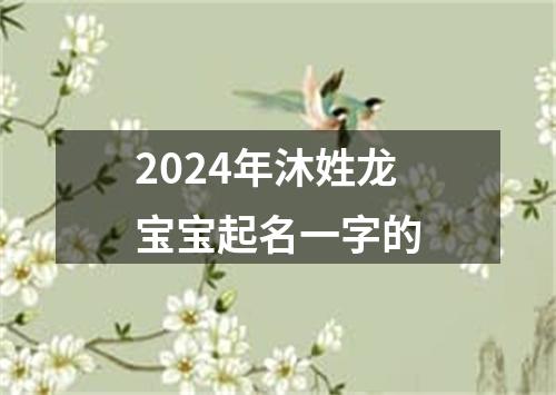 2024年沐姓龙宝宝起名一字的