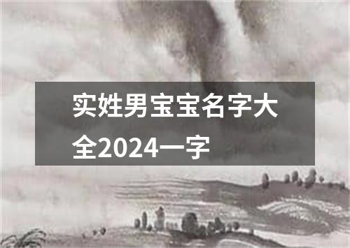 实姓男宝宝名字大全2024一字