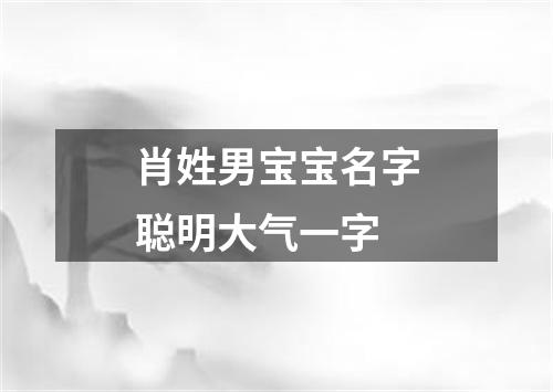 肖姓男宝宝名字聪明大气一字