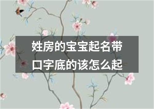 姓房的宝宝起名带口字底的该怎么起