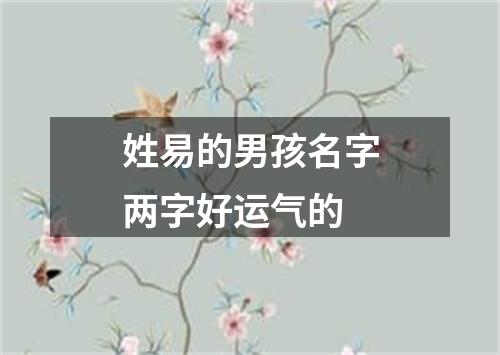 姓易的男孩名字两字好运气的