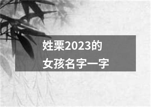 姓栗2023的女孩名字一字