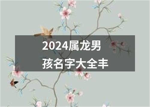 2024属龙男孩名字大全丰