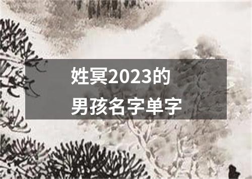 姓冥2023的男孩名字单字