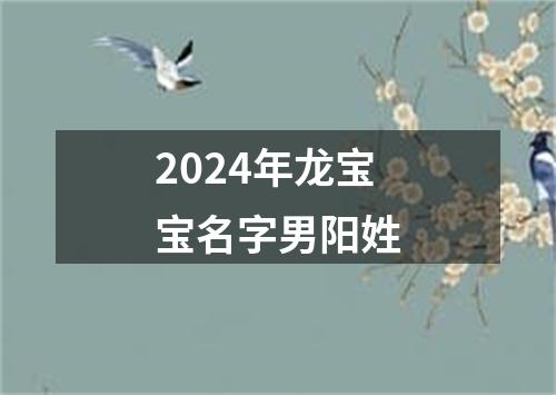 2024年龙宝宝名字男阳姓