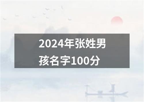 2024年张姓男孩名字100分