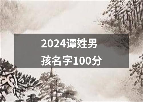 2024谭姓男孩名字100分