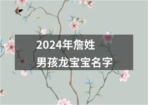 2024年詹姓男孩龙宝宝名字