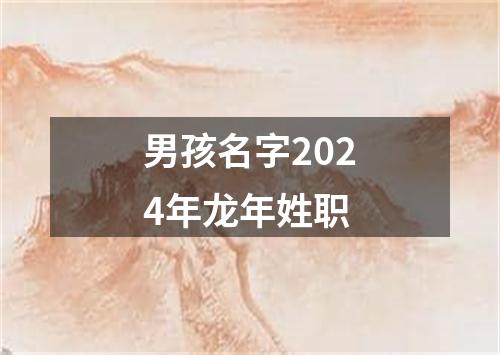 男孩名字2024年龙年姓职