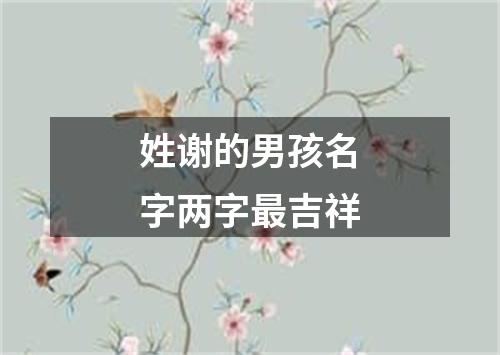 姓谢的男孩名字两字最吉祥