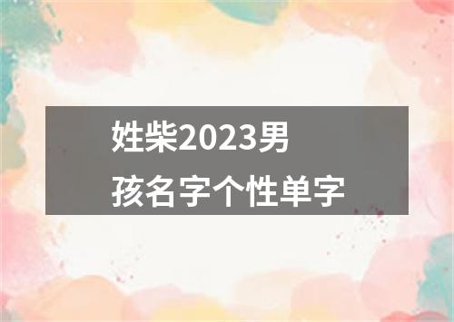 姓柴2023男孩名字个性单字