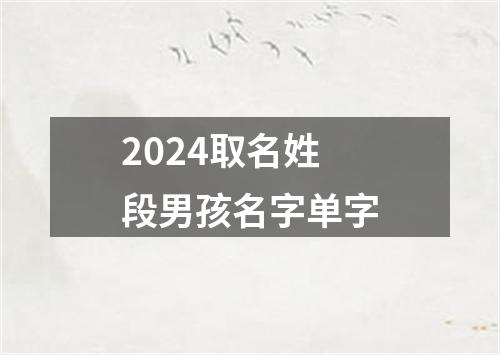 2024取名姓段男孩名字单字