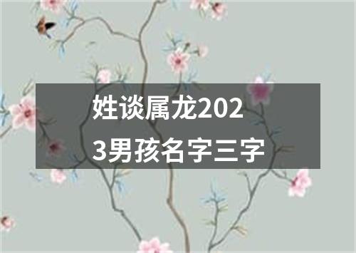 姓谈属龙2023男孩名字三字