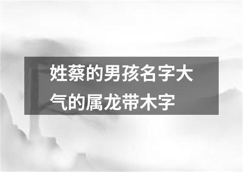 姓蔡的男孩名字大气的属龙带木字