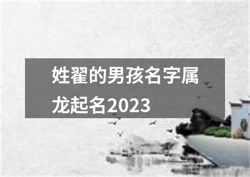 姓翟的男孩名字属龙起名2023