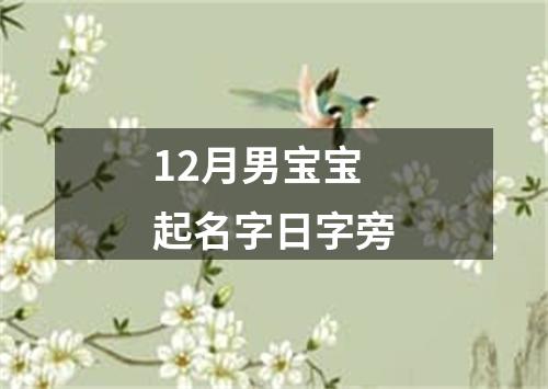 12月男宝宝起名字日字旁