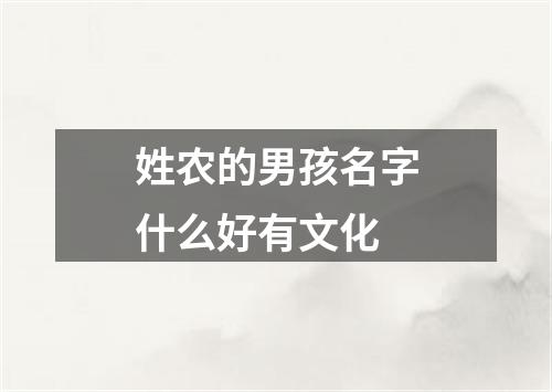 姓农的男孩名字什么好有文化