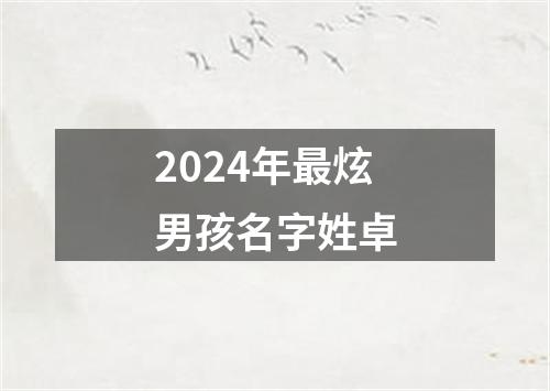 2024年最炫男孩名字姓卓