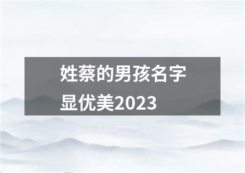 姓蔡的男孩名字显优美2023