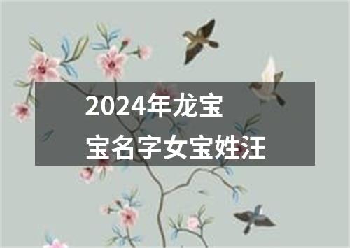 2024年龙宝宝名字女宝姓汪