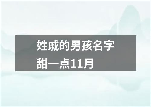 姓戚的男孩名字甜一点11月