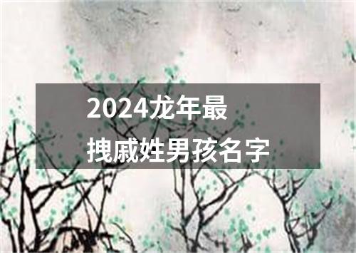 2024龙年最拽戚姓男孩名字