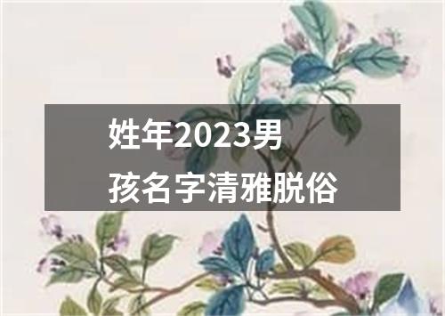 姓年2023男孩名字清雅脱俗