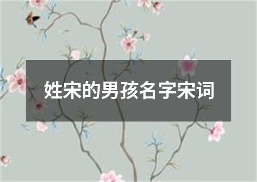 姓宋的男孩名字宋词