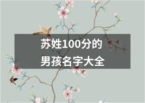 苏姓100分的男孩名字大全