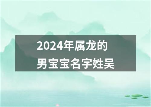 2024年属龙的男宝宝名字姓吴