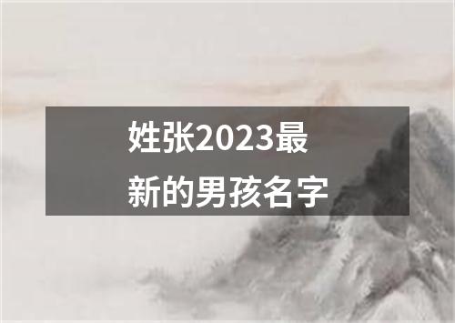 姓张2023最新的男孩名字