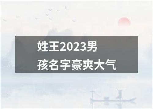 姓王2023男孩名字豪爽大气