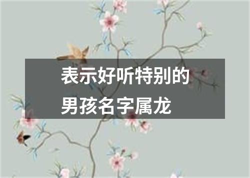 表示好听特别的男孩名字属龙