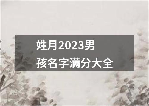 姓月2023男孩名字满分大全