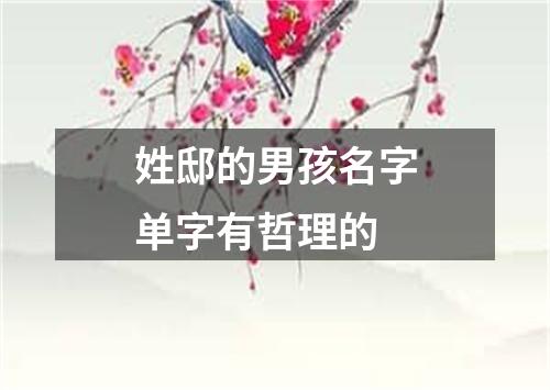 姓邸的男孩名字单字有哲理的