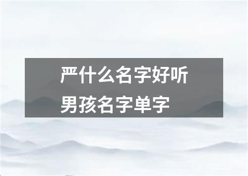 严什么名字好听男孩名字单字