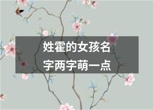 姓霍的女孩名字两字萌一点