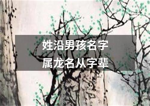 姓沿男孩名字属龙名从字辈