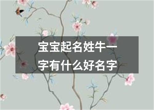 宝宝起名姓牛一字有什么好名字