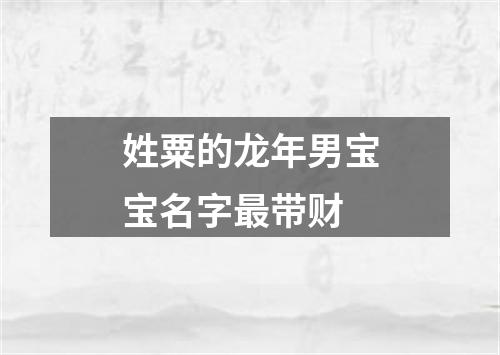 姓粟的龙年男宝宝名字最带财