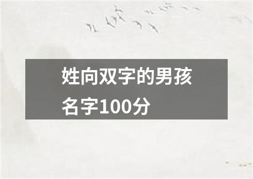 姓向双字的男孩名字100分